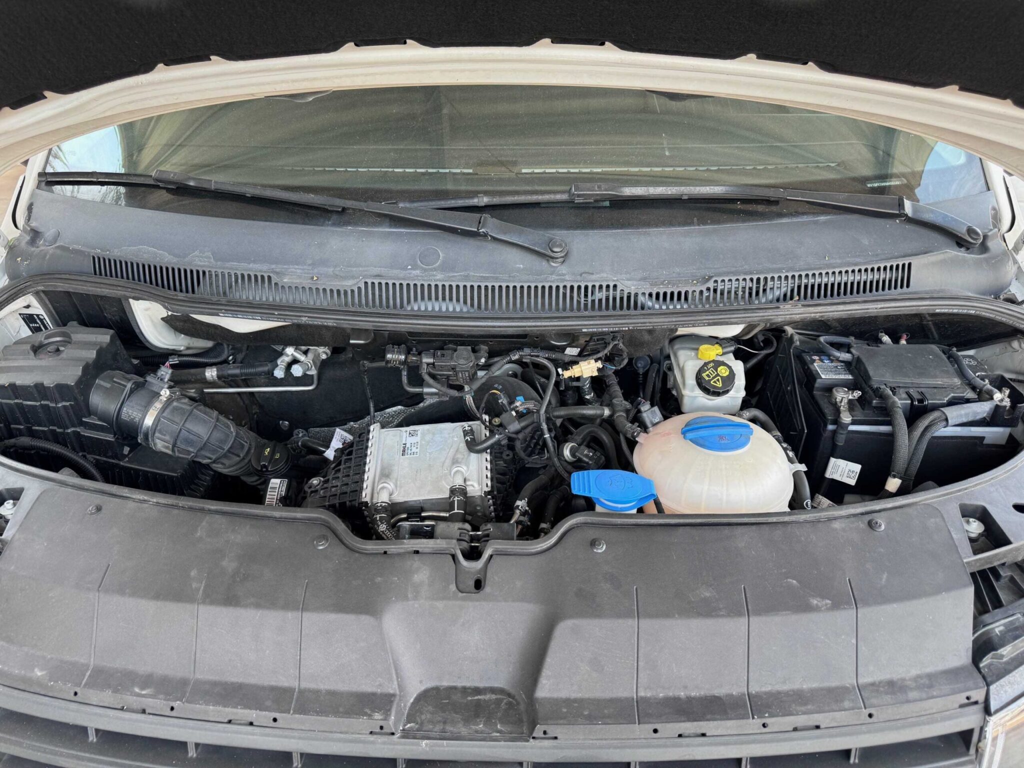 VW TRANSPORTER 2021 (Lote de 7)