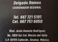 CAMION CITY STAR 5, AÑO 2022 EN CHASIS CABINA