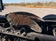 LT625 HR EURO V 2024