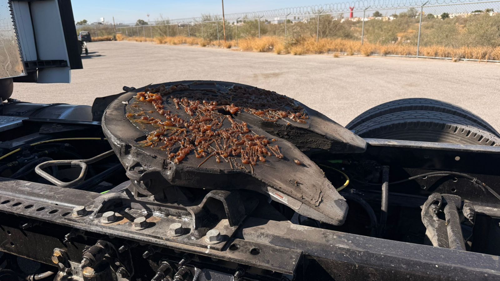 LT625 HR EURO V 2024