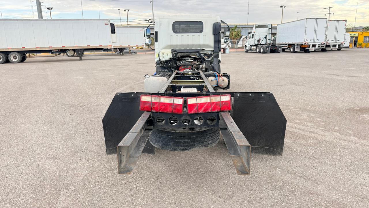 INTERNATIONAL CITYSTAR 5 2019