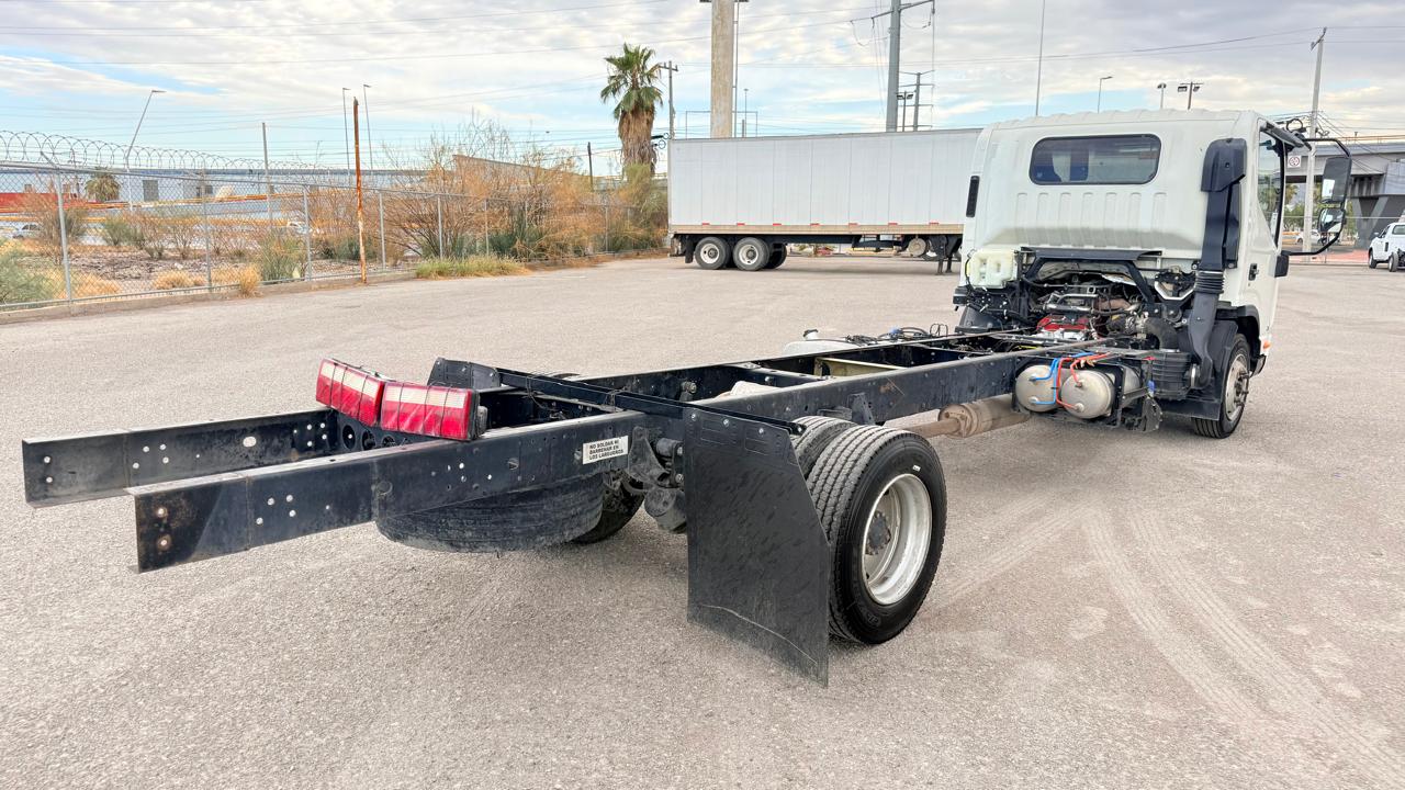 INTERNATIONAL CITYSTAR 5 2019