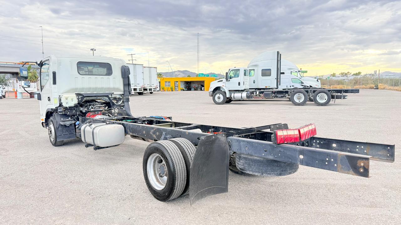 INTERNATIONAL CITYSTAR 5 2019