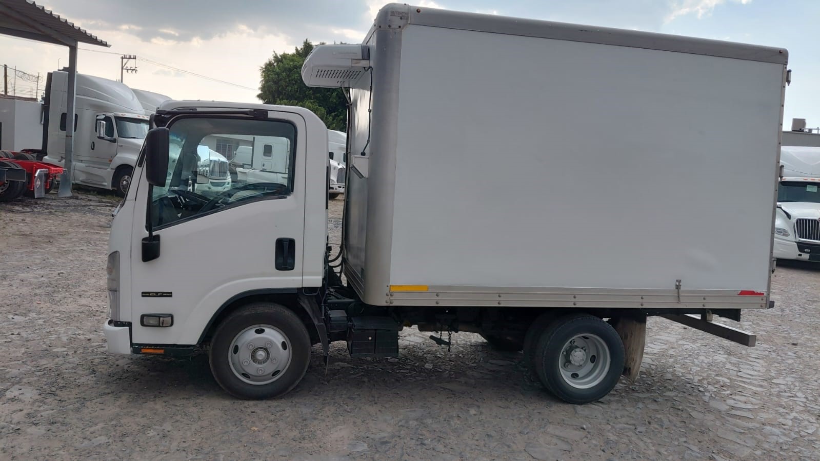 ISUZU ELF 300 2020 CAJA REFRIGERADA